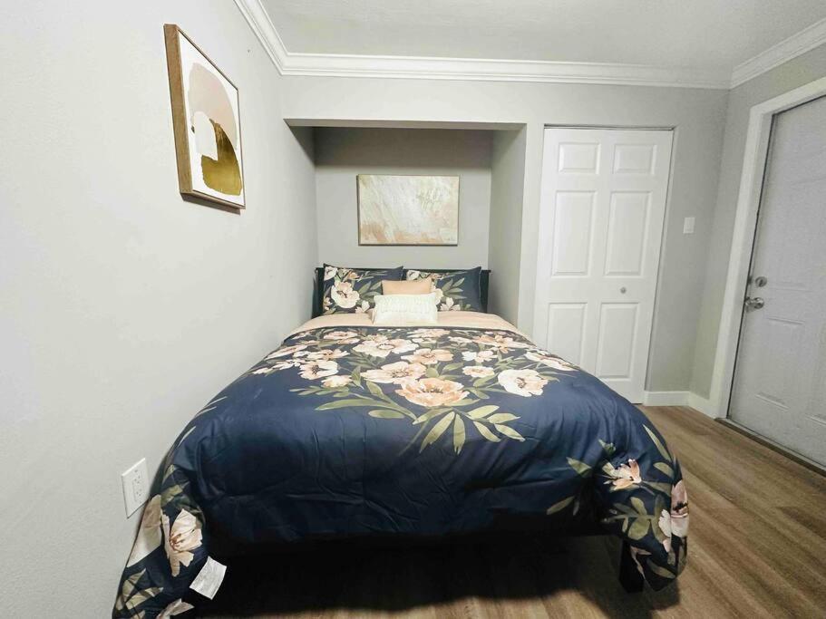 Coral Gables Miami Studio Near Airport And Beaches Екстериор снимка